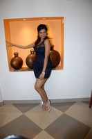 Hamsa Nandini Stills